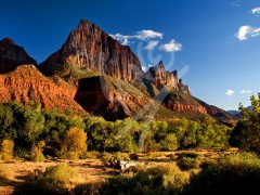 UTAH Zion Park